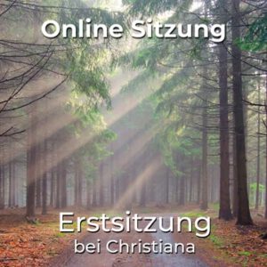 Erstsitzung - Online Sitzung bei Christiana Schweizer