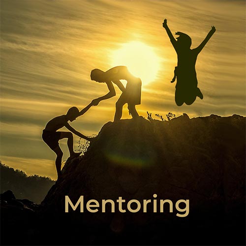 mentoring3 Weiße Rosen