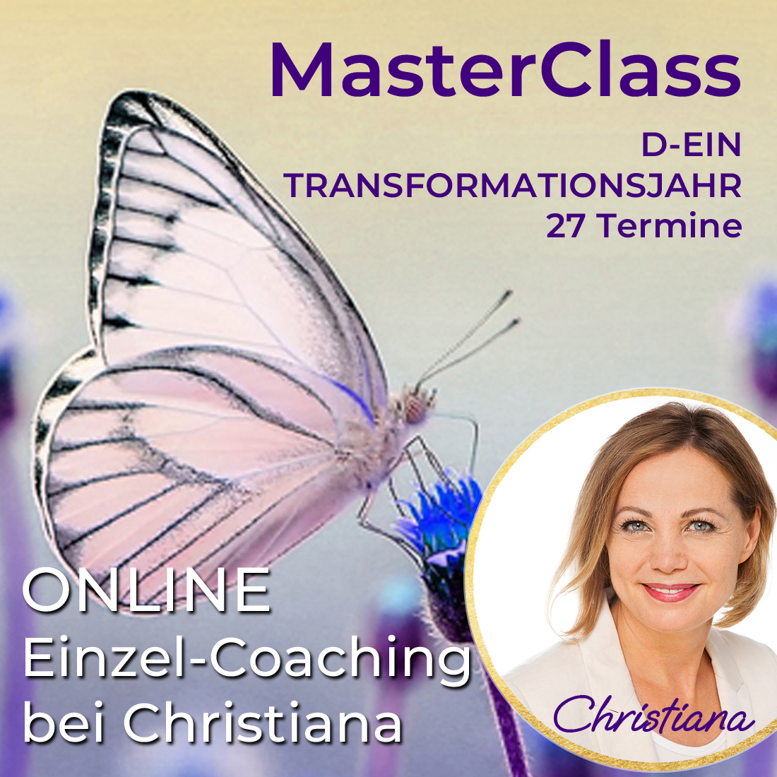 Master Class - D-ein Jahr der Transformation