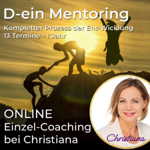 Modul 2+3 - Ganzheitlicher + Nachgelagerter Prozess der Ent-Wicklung - 13 Termine