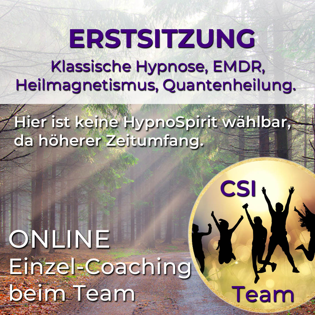 Erstsitzung - Online Sitzung beim Team