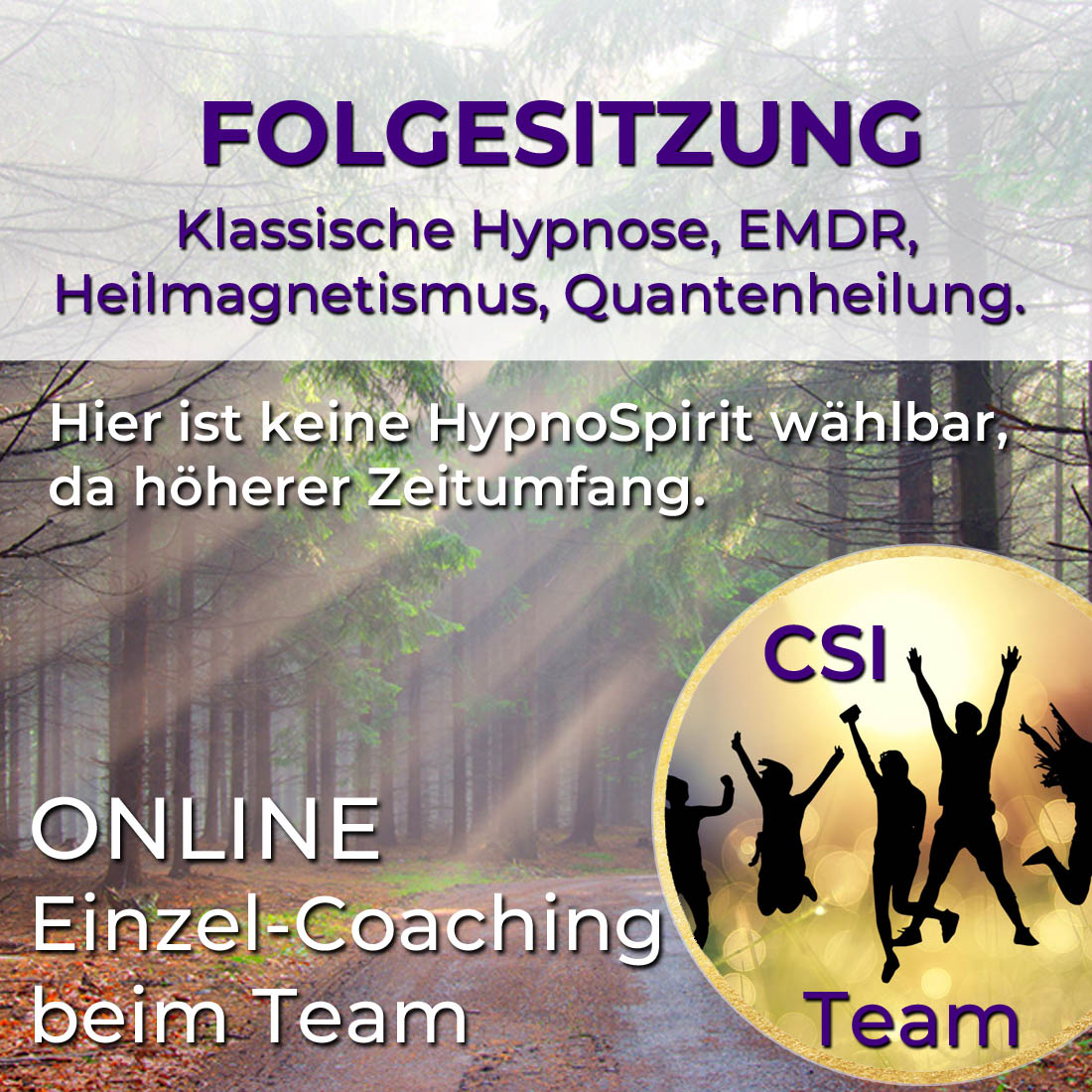 Folgesitzung - Online Sitzung beim Team