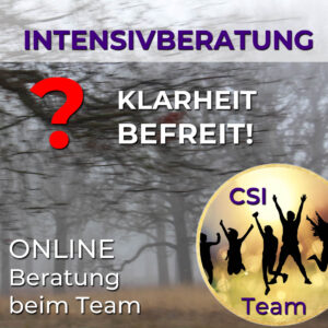 Online Intensivberatung beim Team